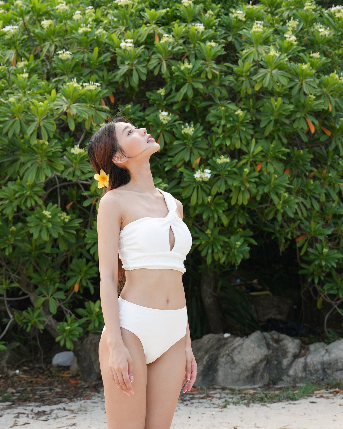 Ceci